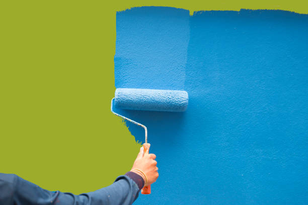 Best Attic Mold Removal  in Bountiful, UT